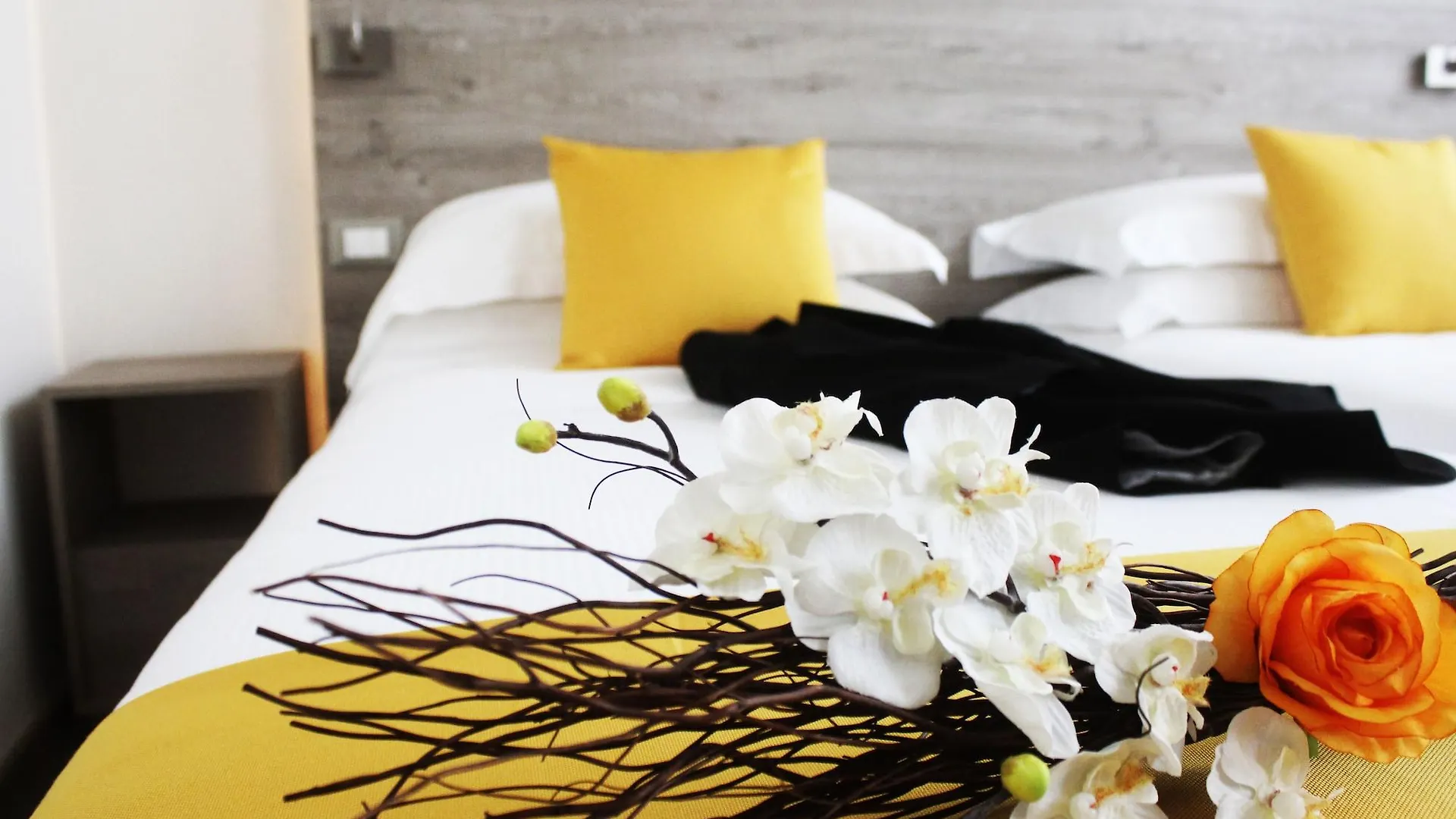 ***  Sole Hotel Verona Italia